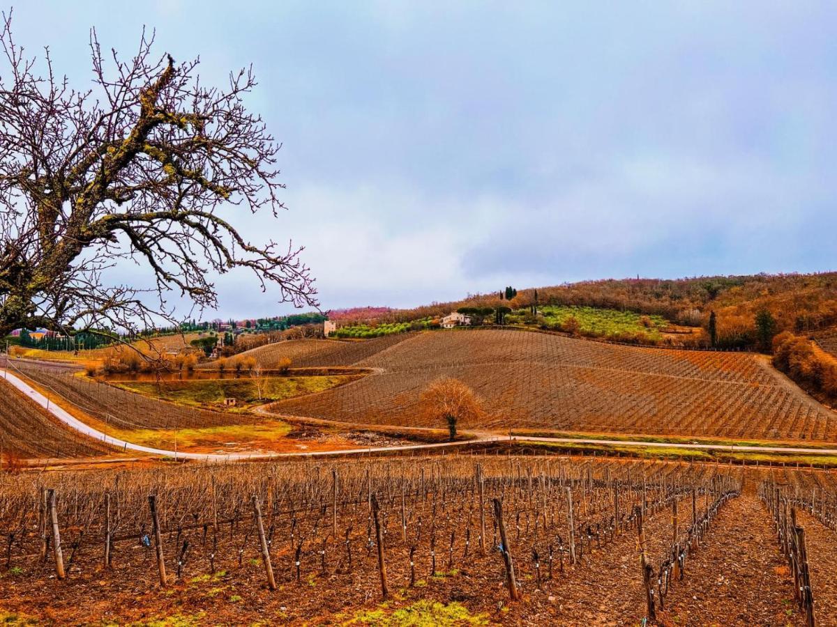 Locanda Podere Le Vigne Радда-ін-К'янті Екстер'єр фото