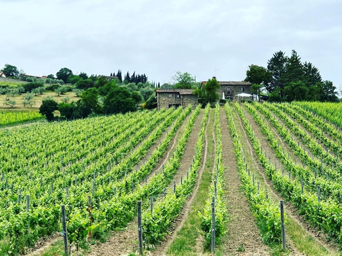 Locanda Podere Le Vigne Радда-ін-К'янті Екстер'єр фото